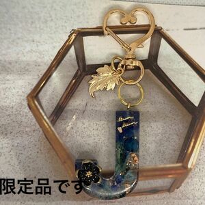 イニシャルキーホルダー　レジン　ハンドメイド　　ドライフラワー　ディープカラー　ネイビーＪ