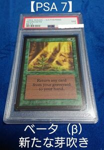 【PSA7 NM】MTG ベータ（β） 英語 新たな芽吹き / Regrowth 鑑定品