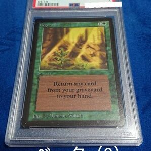 【PSA7 NM】MTG ベータ（β） 英語 新たな芽吹き / Regrowth 鑑定品