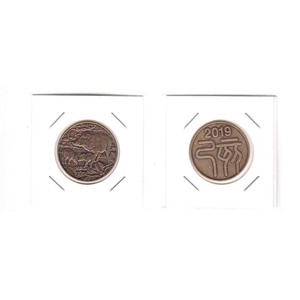 04-419-002 年銘板 丸形 ミントセット（令和元年 2019年） 貨幣セット出し ミント出し 「猪」「己亥」