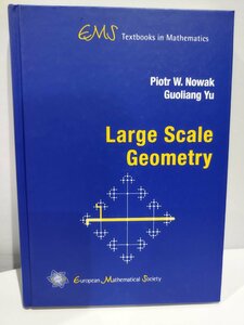 Large Scale Geometry 大規模幾何学　洋書/数学/群理論/トポロジー/データ解析【ac03d】