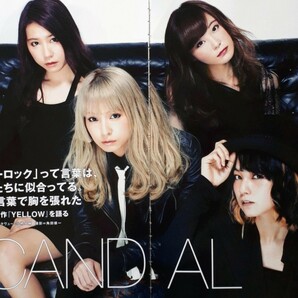 【切り抜き】SCANDAL 49ページ スキャンダル