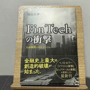 FinTechの衝撃 金融機関は何をすべきか 城田真琴 230919