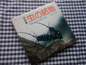 *[ photoalbum insect. marriage insect. . tail line moving ...] bear ... work monthly satsuki research company .. leaf bookstore 1975 year 