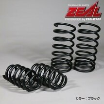 プロスタッフ ZEAL 40mm ダウンコイルセット(ZEALグリーン) Gクラス W463 G350d/G550/AMG-G63 PRO-STAFF_画像5