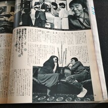 non-no／1981年.No.15／8月5日号▲81.ポロシャツ決定版▲158cm以下のおしゃれ学▲寺尾聡vs桃井かおり▲ピープル・ナウ・原由子_画像8