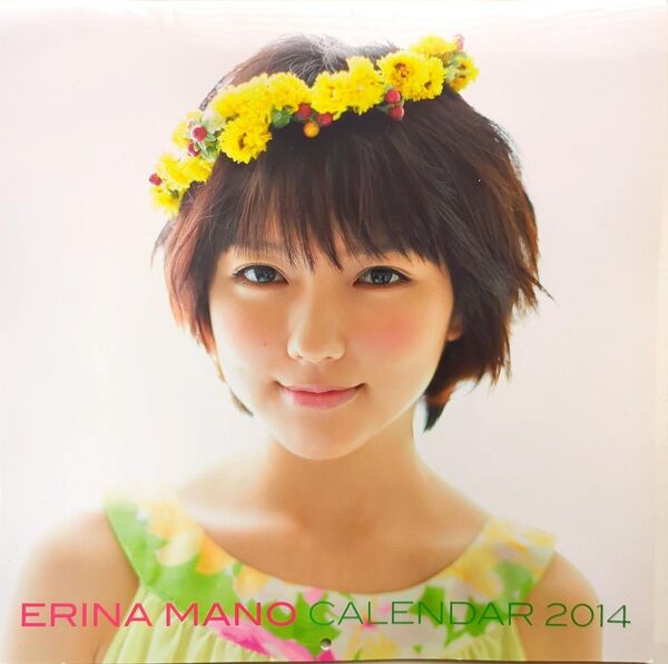 真野恵里菜カレンダー 2014