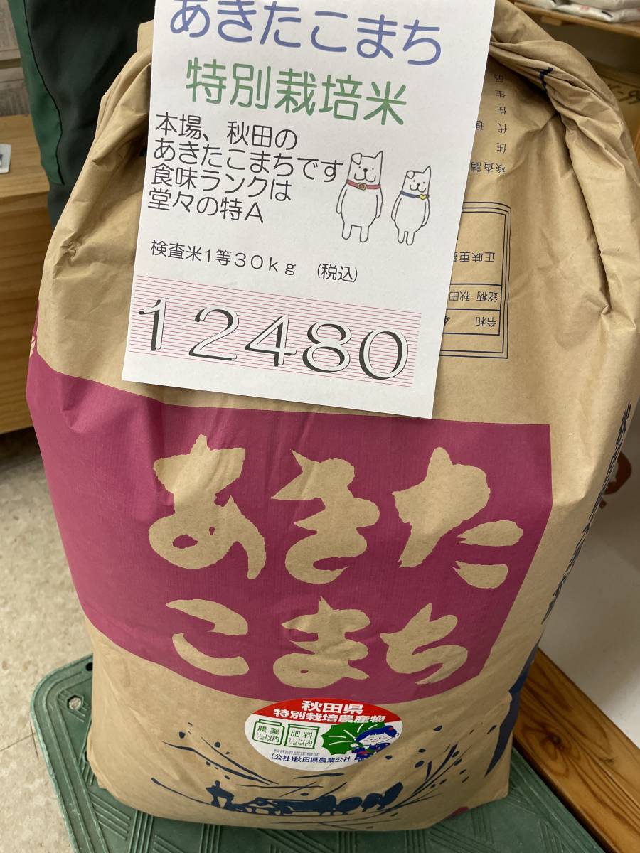 ヤフオク! さんの出品リスト
