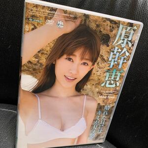 原幹恵 晴れた日にはキミが見える DVD