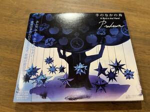 Predawn『手のなかの鳥 A Bird in the Hand』(CD)