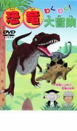 わくわく!恐竜大冒険 中古 DVD ケース無