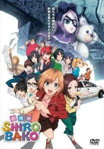 劇場版 SHIROBAKO レンタル落ち 中古 DVD ケース無