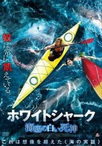 ホワイトシャーク 海底の白い死神 レンタル落ち 中古 DVD ケース無