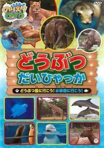 のりスタ DVD どうぶつだいひゃっか どうぶつ園に行こう!水族館に行こう! レンタル落ち 中古 DVD ケース無