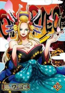 ONE PIECE ワンピース 20thシーズン ワノ国編 30(1010話～1013話) レンタル落ち 中古 DVD ケース無