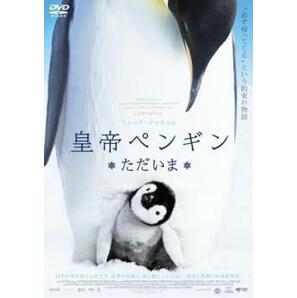 皇帝ペンギン ただいま レンタル落ち 中古 DVD ケース無の画像1