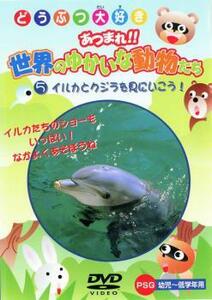 どうつぶ大好き あつまれ!!世界のゆかいな動物たち 5 イルカとクジラを見にいこう 中古 DVD ケース無