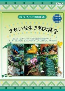 シリーズ・ヴィジュアル図鑑 26 きれいな生き物大集合 レンタル落ち 中古 DVD ケース無