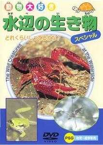 動物大好き 水辺の生き物 スペシャル 中古 DVD ケース無