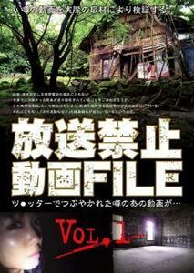 放送禁止 動画FILE Vol.1 ツ●ッターでつぶやかれた噂のあの動画が… レンタル落ち 中古 DVD ケース無