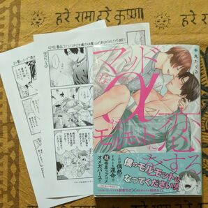 マッドなαはモルモットに恋をする/中丸たぐる コミコミ