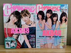 G グラビア ザテレビジョン vol.19 vol.20 AKB48 SKE48 HKT48 NMB48/アイドル/小嶋陽菜/篠田麻里子/松井珠理奈/柏木由紀/他/ポスター未開封