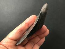 サメ 歯 化石 メガロドン [MG16] 最高品質 サメの歯 鮫の歯 牙_画像7