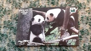 東京動物園協会　パンダ　左：シャオシャオ（暁暁）・右：レイレイ（蕾蕾）　ＱＵＯカード　クオカード　５００　【送料無料】