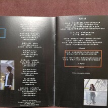 ■T13■　ヴォクスレイ　のアルバム「カラー」_画像3