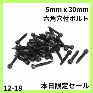 【大特価】 5mm x30mm 六角穴付ボルト タッピングボルト 50個