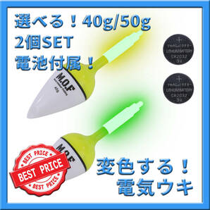 40g/50g混合！変色電気ウキ 2個セット 電池付属！沈むと色が変わる LED 見やすい 爆光 投げサビキ サビキウキ