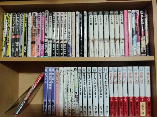 60冊 BL さちも 丹下道 志水ゆき 日高ショーコ