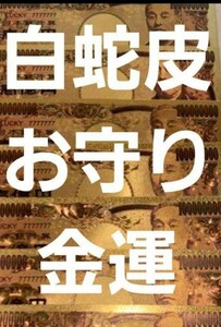 陰陽師霊視　白蛇皮金運底上げ霊石つき