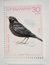 ブルガリア 切手 1987 スズメ 目 3632_画像5