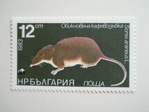 ブルガリア 切手 1983 動物保護法 指定 保護動物 － 哺乳類 3279_画像2