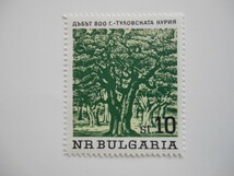 ブルガリア 切手 1964 高齢 樹木 1559-1_画像6