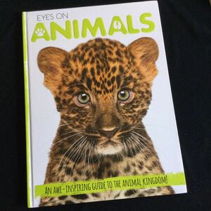 大型本　Eyes on Animals 洋書　英語　動物　本　アニマル　生物