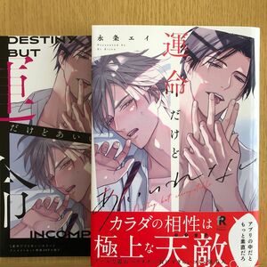 アニメイト小冊子付きセット　運命だけどあいいれない / 永条エイ