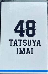 【即決】【送料無料】埼玉西武ライオンズ　48 今井達也　ボブルヘッド 