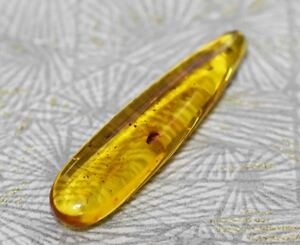 SKR 89 prompt decision free shipping litoania production insect entering amber fancy cut 7.650ct [ natural stone ]