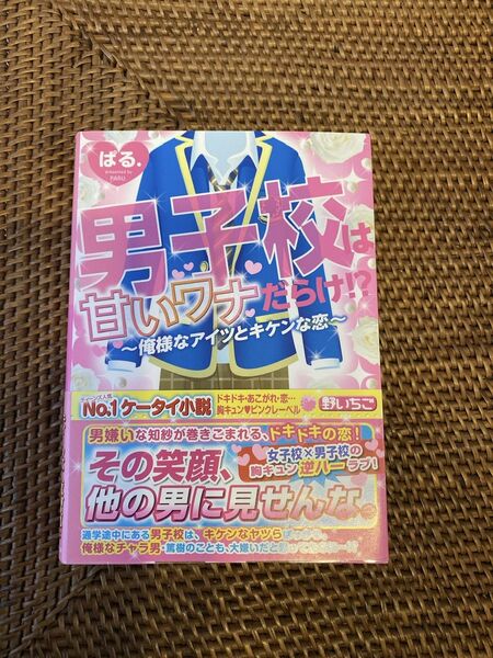 携帯小説　男子校は甘いワナだらけ！？〜俺様のアイツとキケンな恋〜