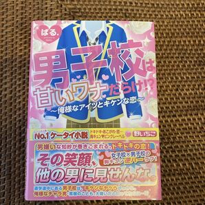 携帯小説　男子校は甘いワナだらけ！？〜俺様のアイツとキケンな恋〜