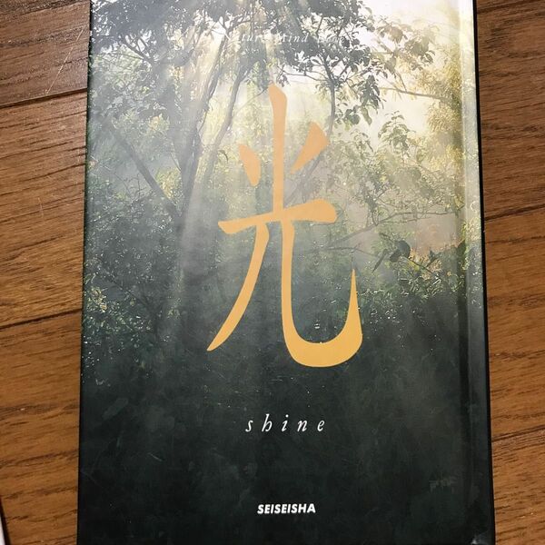 光 （Ｎａｔｕｒｅ　ｍｉｎｄ　ｂｏｏｋ） 秋月さやか／文　高橋真澄／写真