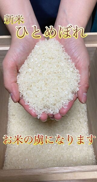 新米ひとめぼれ 埼玉県熊谷産 専業農家 玄米10キロ 白米にもできます!