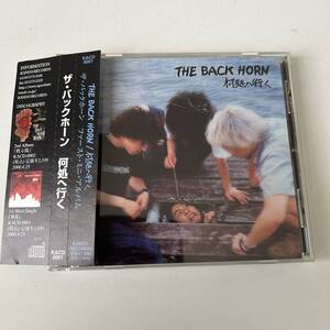 帯付きです◇THE BACK HORN/何処へ行く/ザ・バックホーン◇