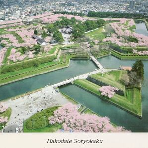 ☆新品☆【日本】ポストカード 北海道 五稜郭 春 桜 *291*