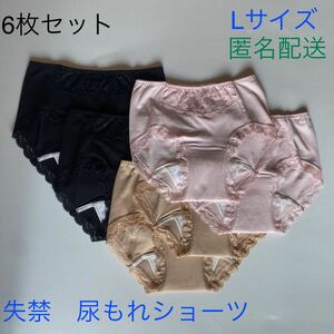 6枚組 Lサイズ 尿漏れパンツ 20cc 失禁ショーツ 軽失禁　安心ショーツ 女性用 失禁パンツ レディース 婦人用a