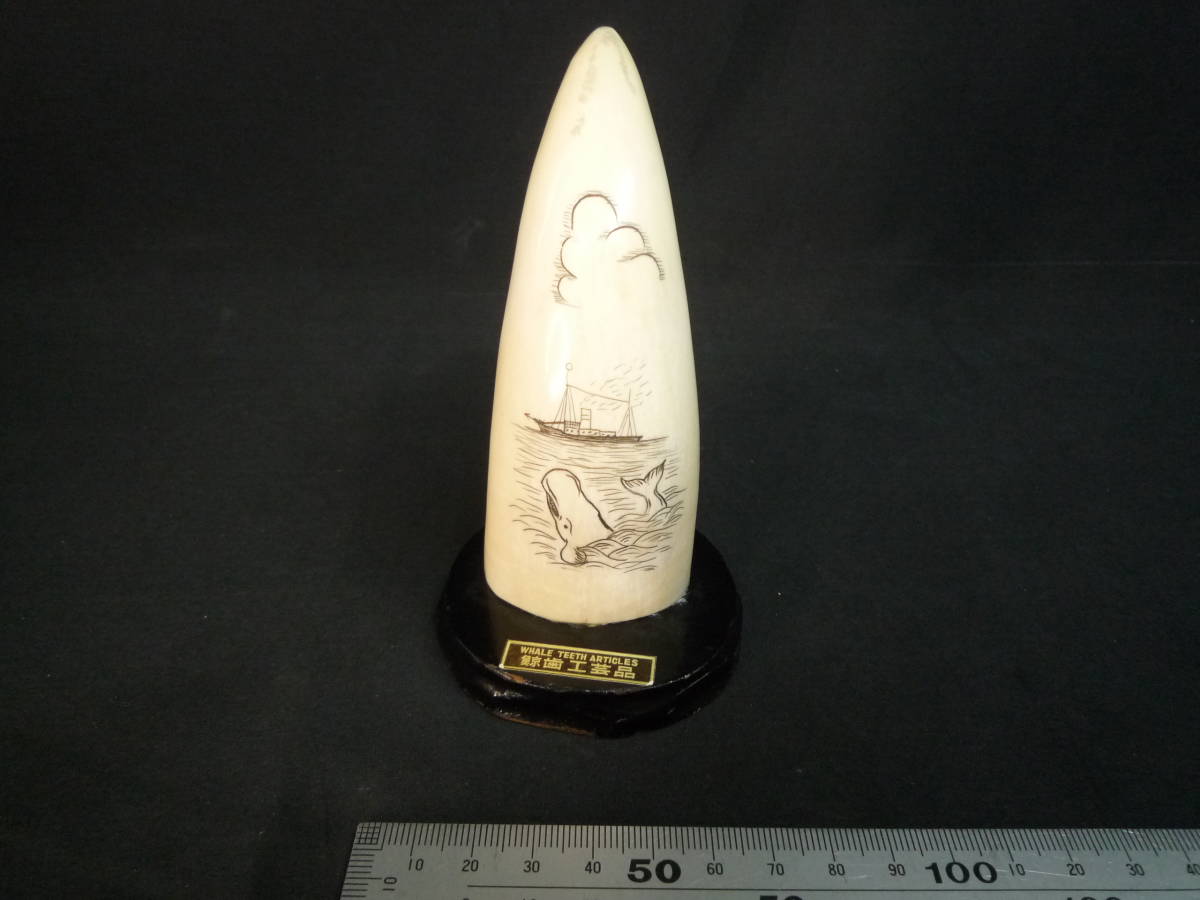 2023年最新】ヤフオク! -鯨(ホビー、カルチャー)の中古品・新品・未