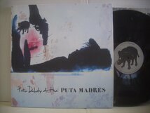 ● 輸入盤 LP PETER DOHERTY & THE PUTA MADRES / ピーター・ドハーティ・アンド・ザ・プタ・マドレス 2019年 SOLP1 ◇r50901_画像1