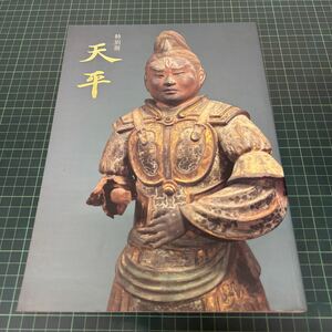 図録 特別展 天平 奈良国立博物館 1998年 仏教美術 仏像 天平仏 正倉院宝物